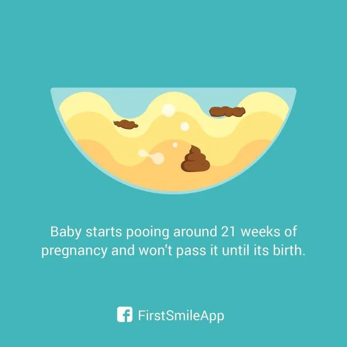12 Weird Pregnancy Facts That You Probably Didn't Know