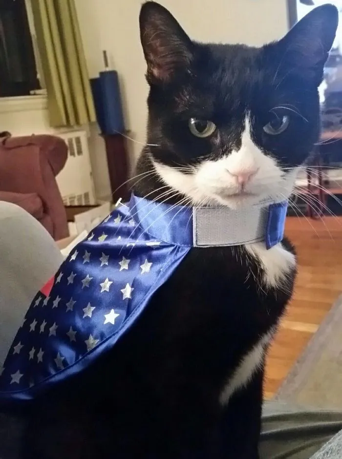 Super Joni!