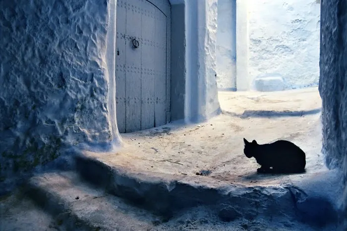 The Blue City of Medina