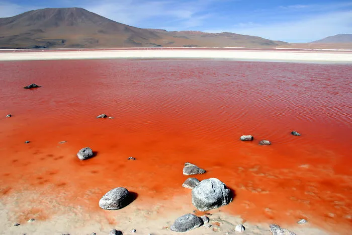 Laguna Colorada, South Lipez