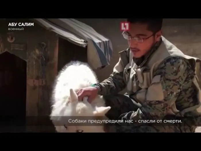 Soldier Army Saves The Syrian War On Animals
