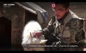 Soldier Army Saves The Syrian War On Animals