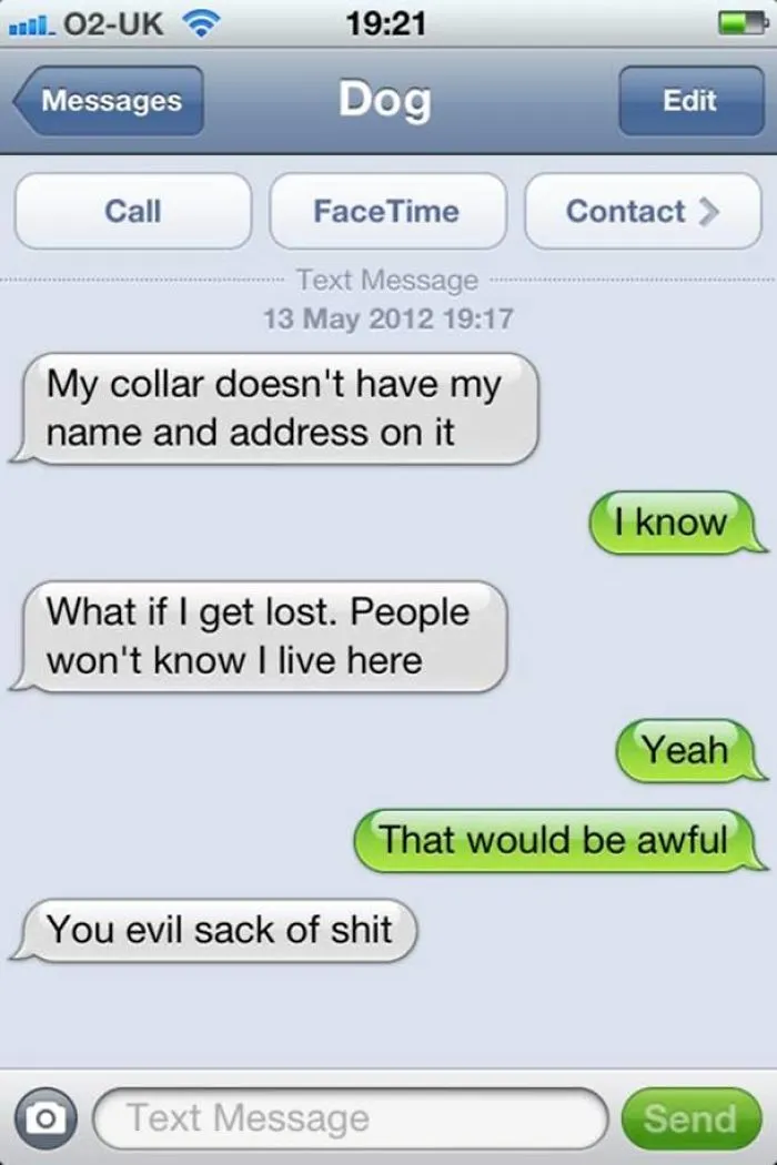 20 Funniest “texts From Dogs” Will Definitely Want You To Talk With Your Dog