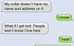 20 Funniest “texts From Dogs” Will Definitely Want You To Talk With Your Dog