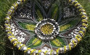 Aloe Fruit~bowl