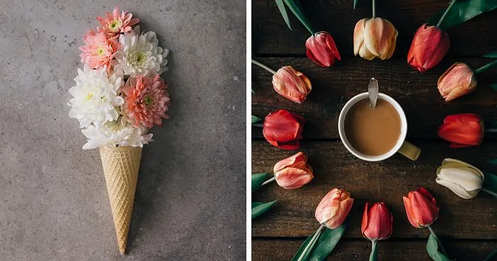 This Photographer Turns Flowers And Leaves Into Art