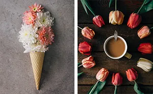 This Photographer Turns Flowers And Leaves Into Art