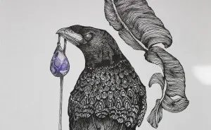 I Miss The Freedom Of My Life So I Started To Draw Birds