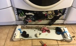 Turns Out Washing Machines Do Eat Socks, But There Were More Surprising Things That We Found…