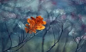 My Impressionist Photos Of Autumn In Poland