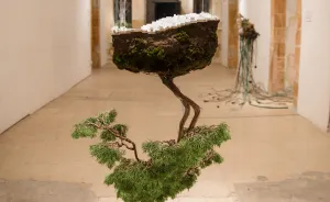 Young Designers Combine Conceptual Art With Bonsai Trees