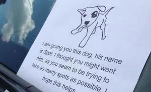 Anonymous Vigilante Is Fighting Asshole Drivers With This Genius Parking Note