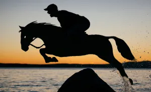I Turn Simple Cardboard Cutouts Into Magical Horse Silhouettes