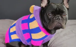 I Sent My French Bulldog On The Time Machine To Find The Perfect Sweater (9 Pics)