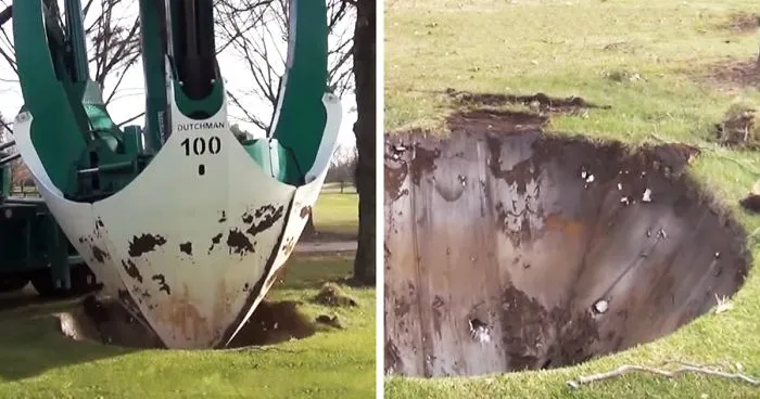 This Machine Moves Trees So You Don't Have To Cut Them Down