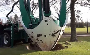 This Machine Moves Trees So You Don't Have To Cut Them Down