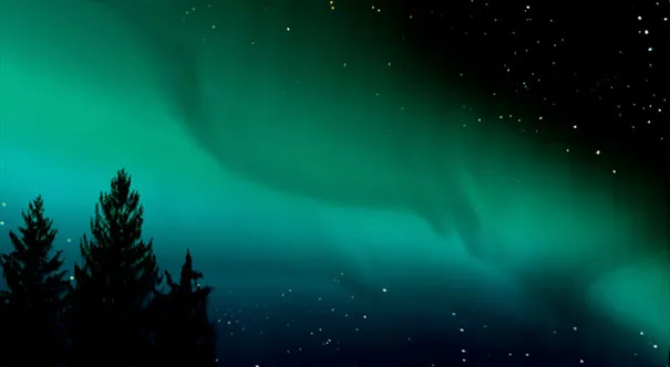 Northern lights glowing above silhouetted trees, highlighting photography's illusionary beauty.