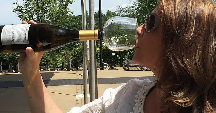 Wine Glass That Attaches To The Bottle So You Could Drink Straight From It Without Shame