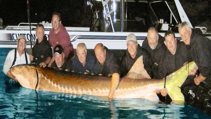 Fish Monster - Texas Titan - Amazon River Monster 2016 River Monsters