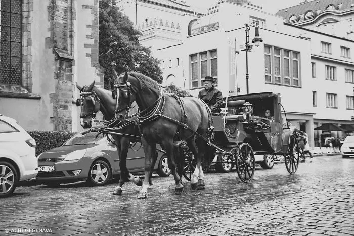 Discover Prague Streets