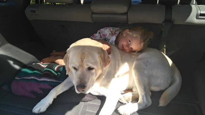 The Love Between A Child And Her Dog Is Immeasurable.