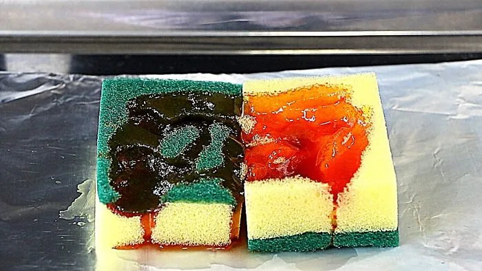 Sponge Vs Sulfuric Acid