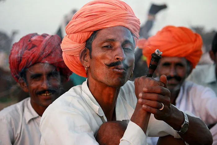 Rajasthani Elegance, India