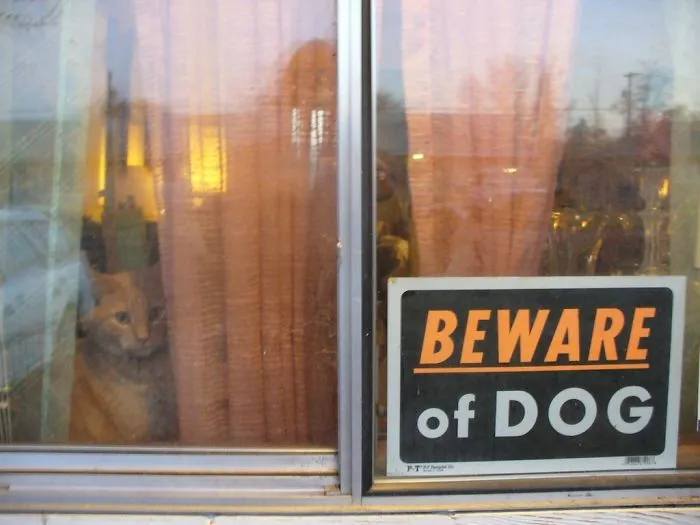 47 Dangerous Dogs Behind Beware Of Dog" Signs"