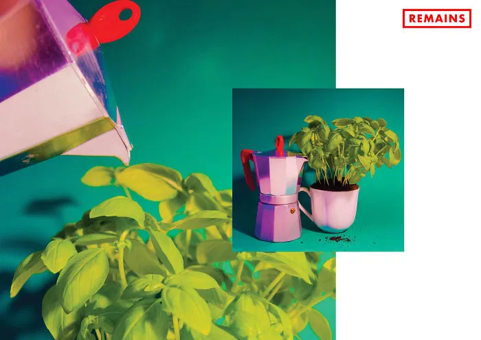 I Created These Photographs To Highlight How Easy Being Sustainable At Home Is.
