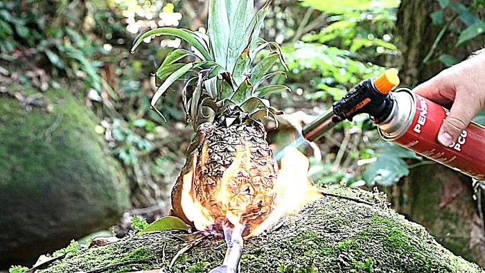 Pineapple Vs Gas Torch