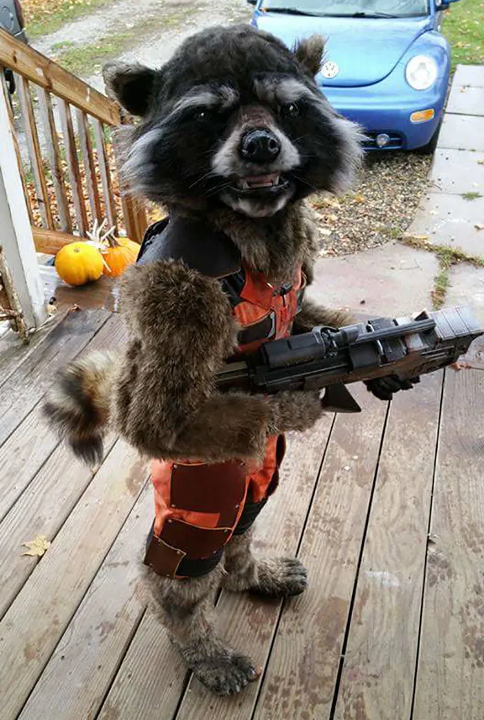 This Little Kid Ruled His Halloween School Party
