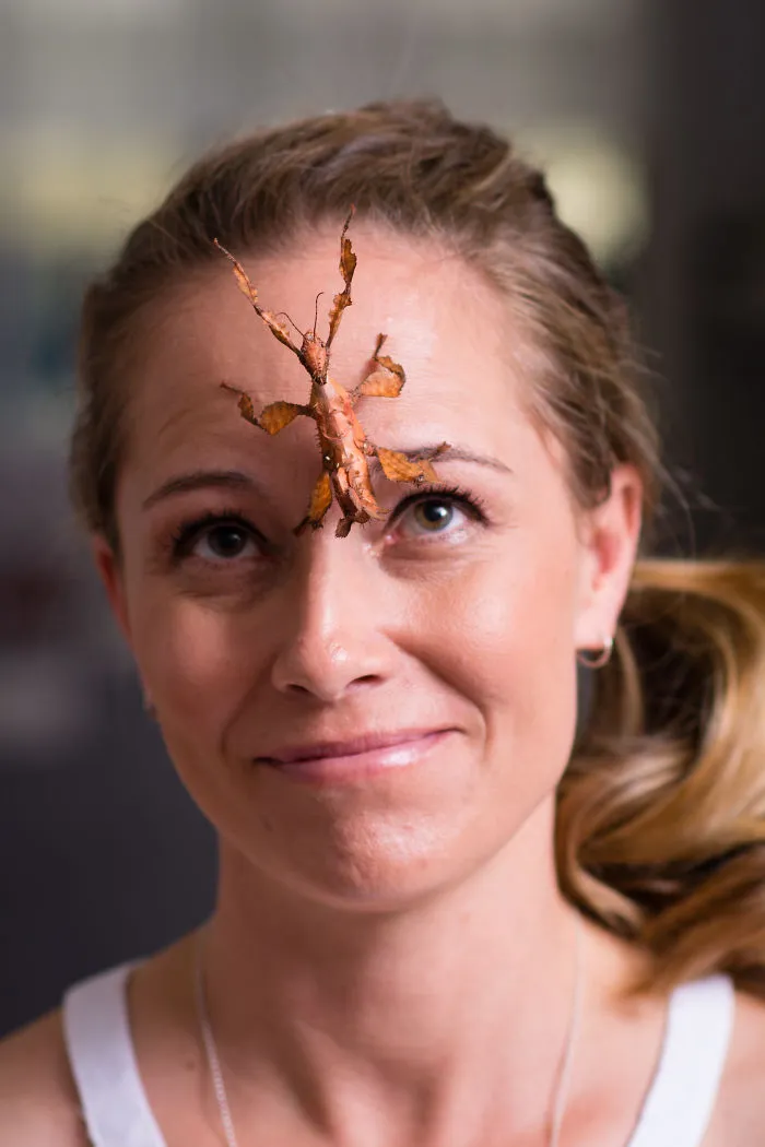 Meet The Steve Irwin Of The Spider World