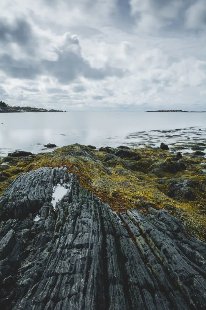 I Capture The Essence Of Maine