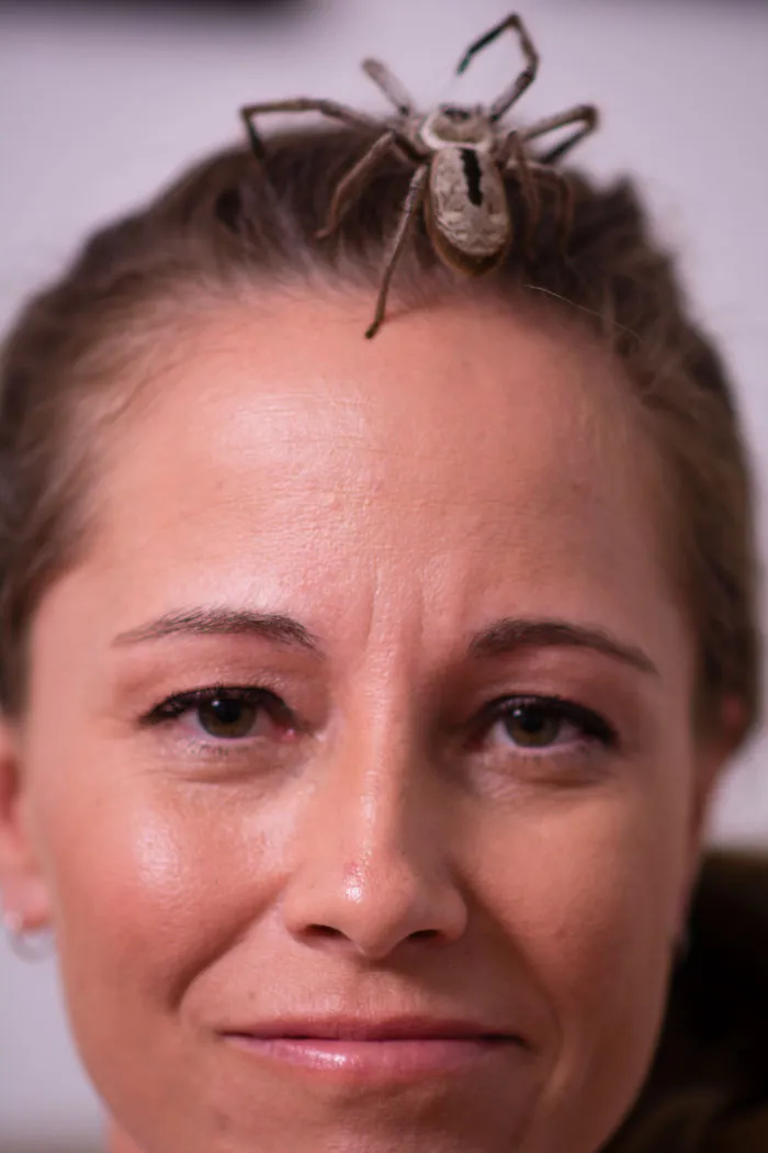 The Steve Irwin Of The Spider World
