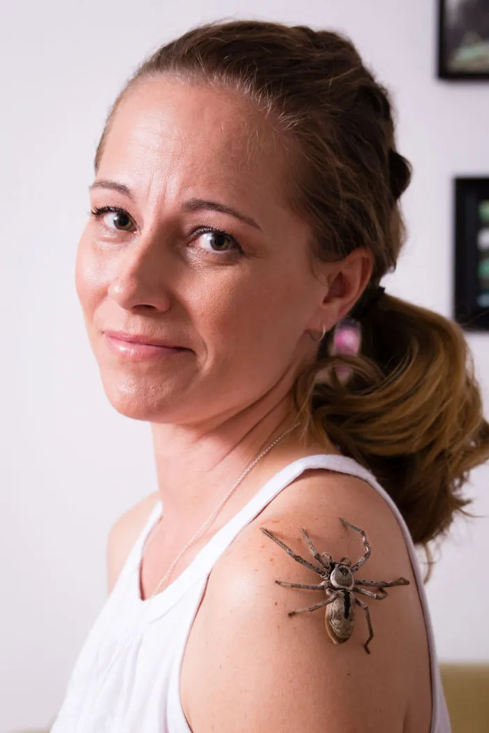 Meet The Steve Irwin Of The Spider World
