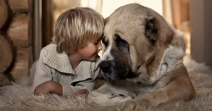 Dog And Human Connection Could Be Genetic According To New Study