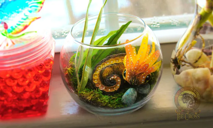 Aquarium Baby Dragon