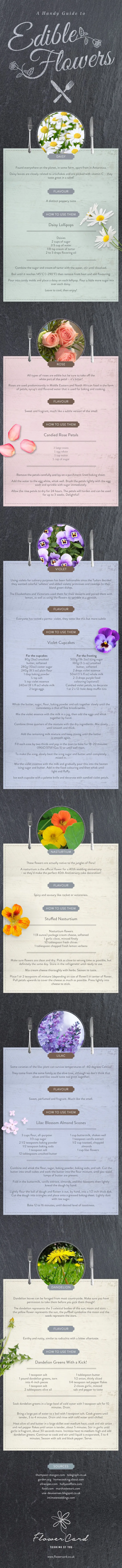 A Handy Guide To Edible Flowers [infographic]