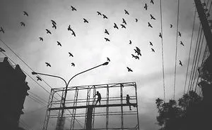 Excerpt Of Everyday: My Photography Journey With Iphone 4