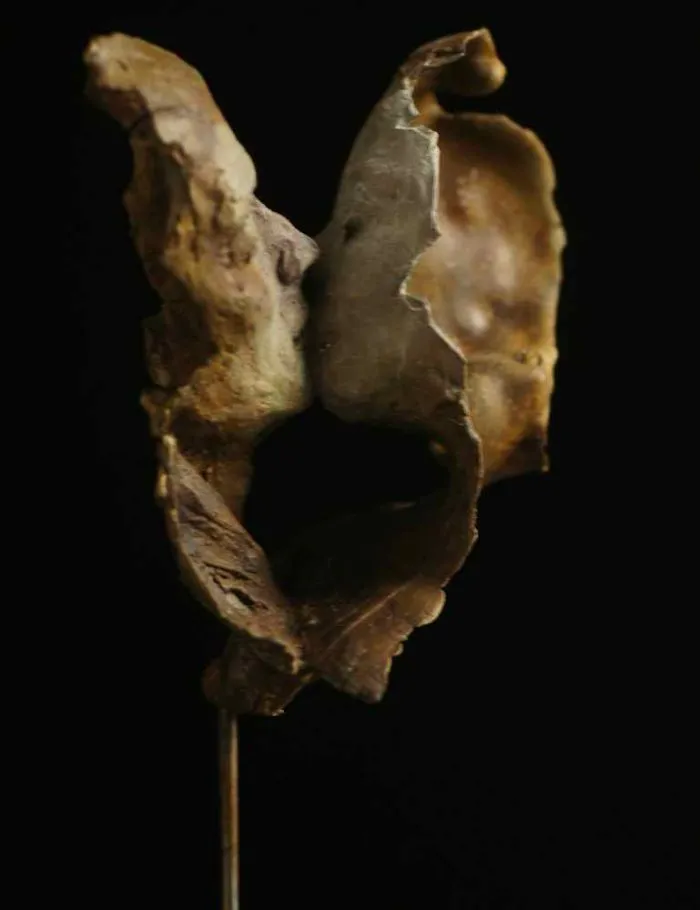 A Kiss Cast In Bronze