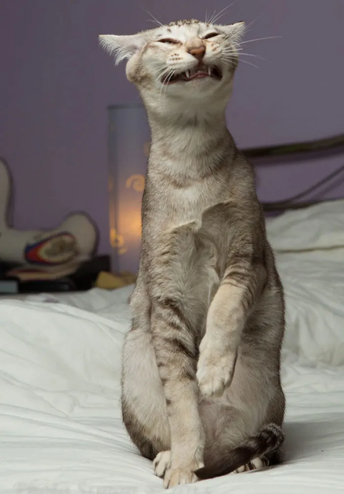 Hope Smiling