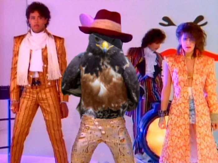 Flock Them Doves, Hawks Don't Cry!