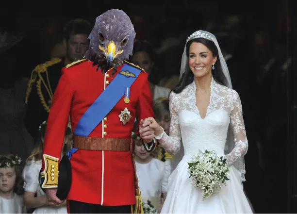 Hawk And Kate