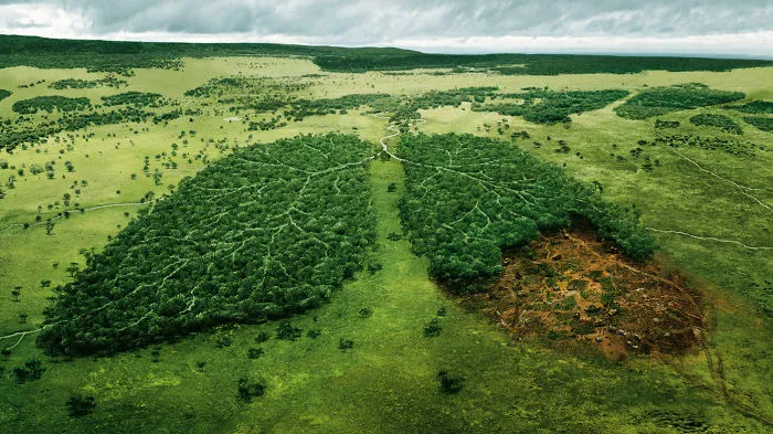 Hey Everyone! Look What We Are Doing To Our Own Planet!