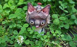 I Create Super Cute And Creepy Dolls