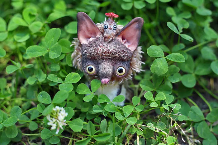 I Create Super Cute And Creepy Dolls