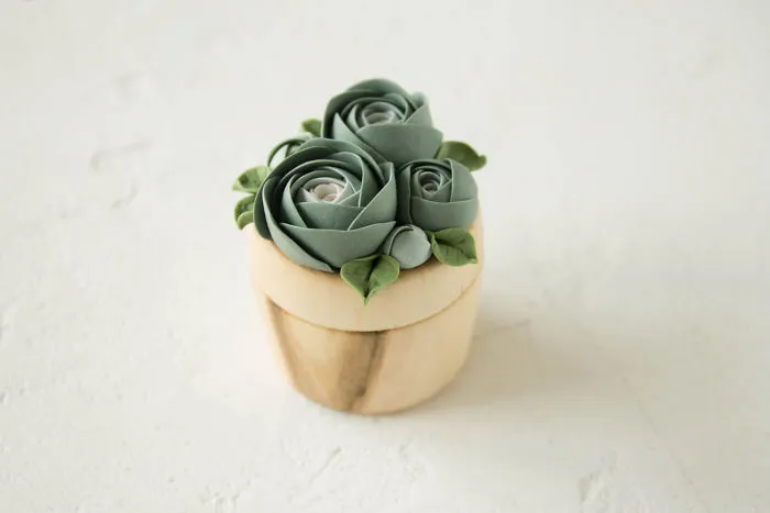 I Create Succulent-Inspired Home Decor Using Snail Shells Which I Found In The Countryside