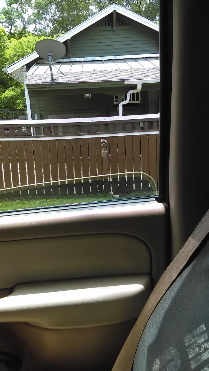47 Dangerous Dogs Behind Beware Of Dog" Signs"