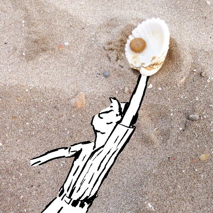 The Beach Catcher