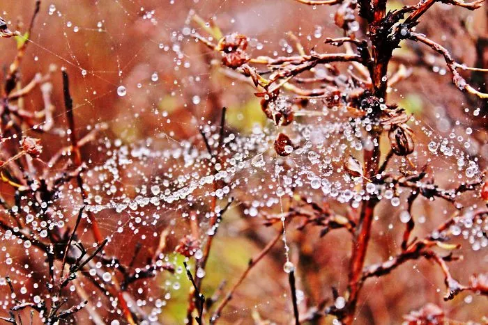 I Capture The Subtle Beauty Of What We Hardly Ever Look At